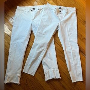 TWO pairs of HUE White Leggings - Size L